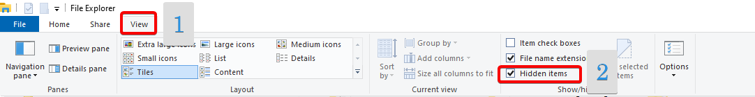 file explorer view, check on hidden items.png