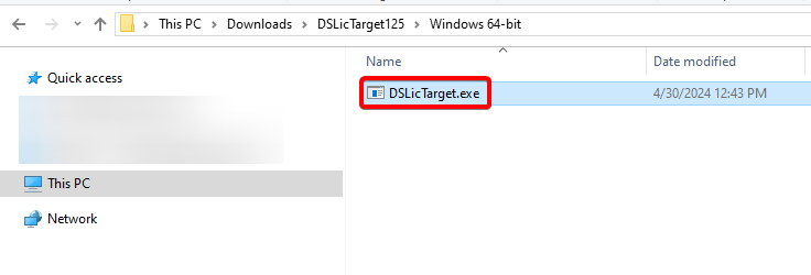 DSLicTarget_EXE.png