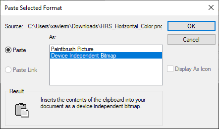 Use the Device Independent Bitmap option from the following dialog box
