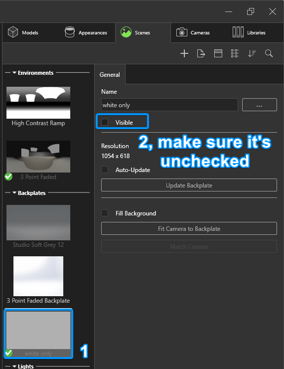 active backplate is selected and the Visible property is unchecked.png