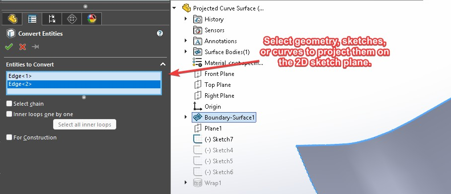 Convert Entities Property Manager, select entities to convert