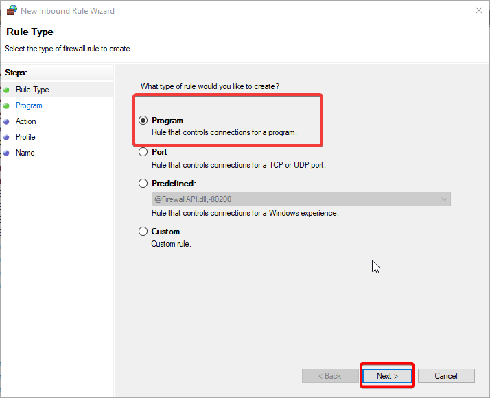 Select Program and then click Next