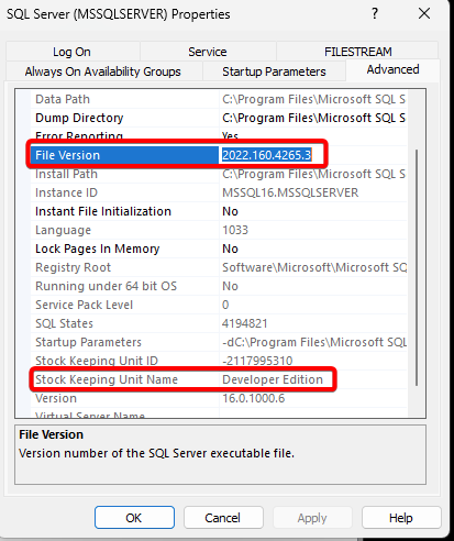 SQL Info from Advanced Tab