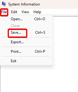 File Save