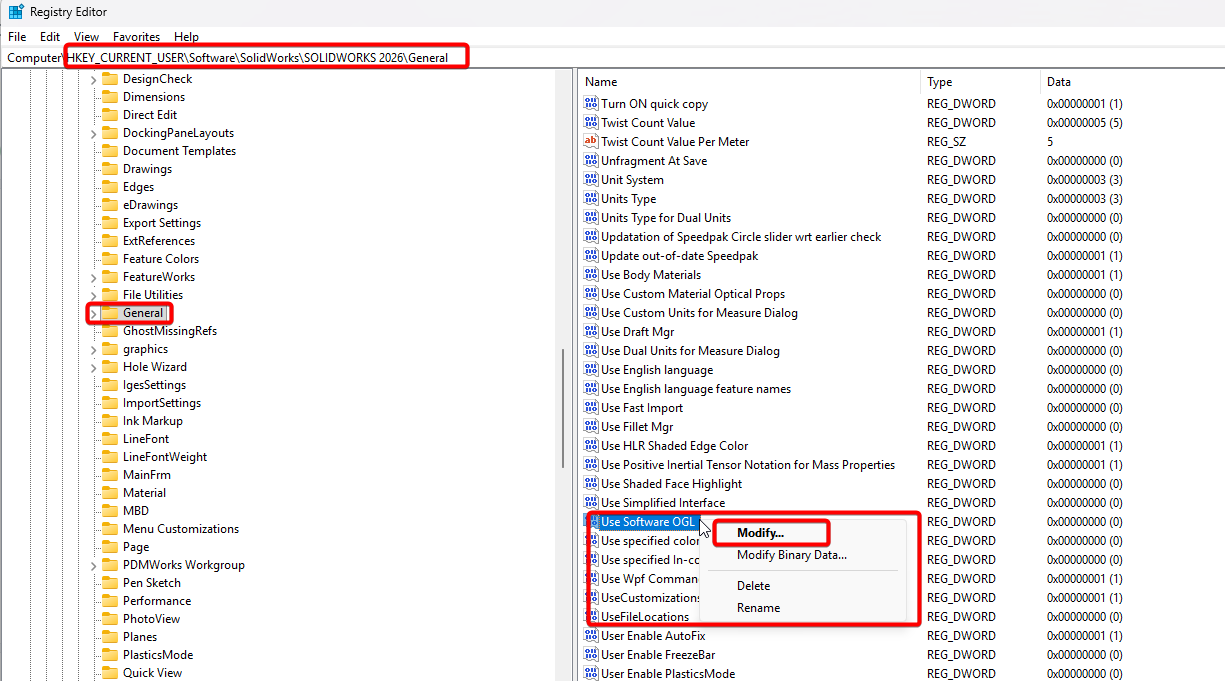 Modify the Use Software OGL DWORD