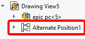Alternate Position Icon